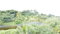 First image of 9-9 Bull Strode in BULSTRODD, Westmoreland, Jamaica - property is For Sale