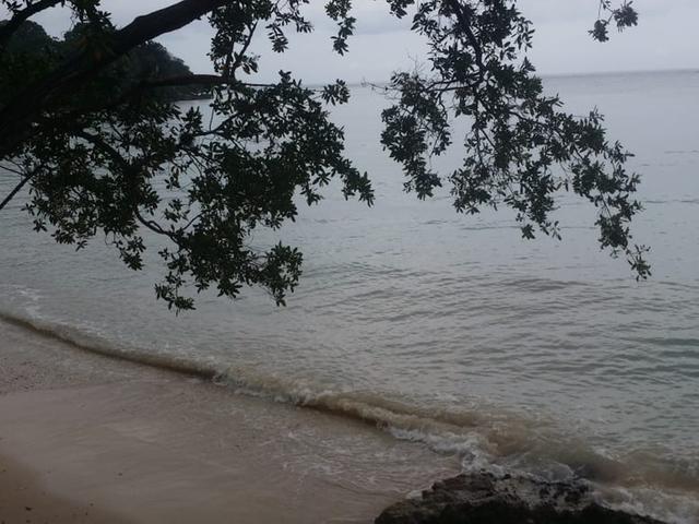 Twenty-First image of 10- Whitehouse Beach Club in WHITEHOUSE, Westmoreland, Jamaica - property is For Sale