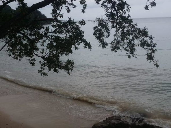 Twenty-First image of 10- Whitehouse Beach Club in WHITEHOUSE, Westmoreland, Jamaica - property is For Sale