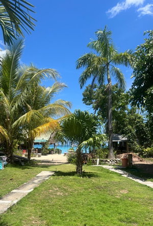 Fifth image of Norman Manley Boulevard in Negril, Westmoreland, Jamaica - property is For Sale