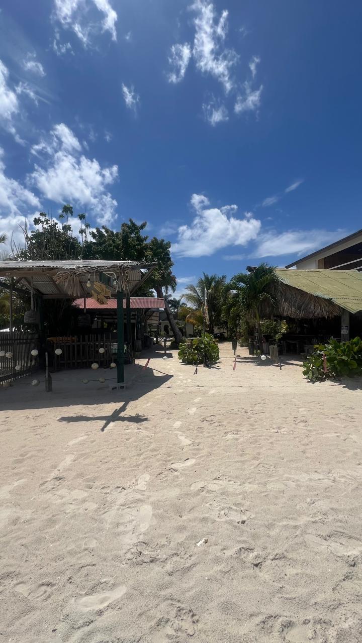 Sixth image of Norman Manley Boulevard in Negril, Westmoreland, Jamaica - property is For Sale
