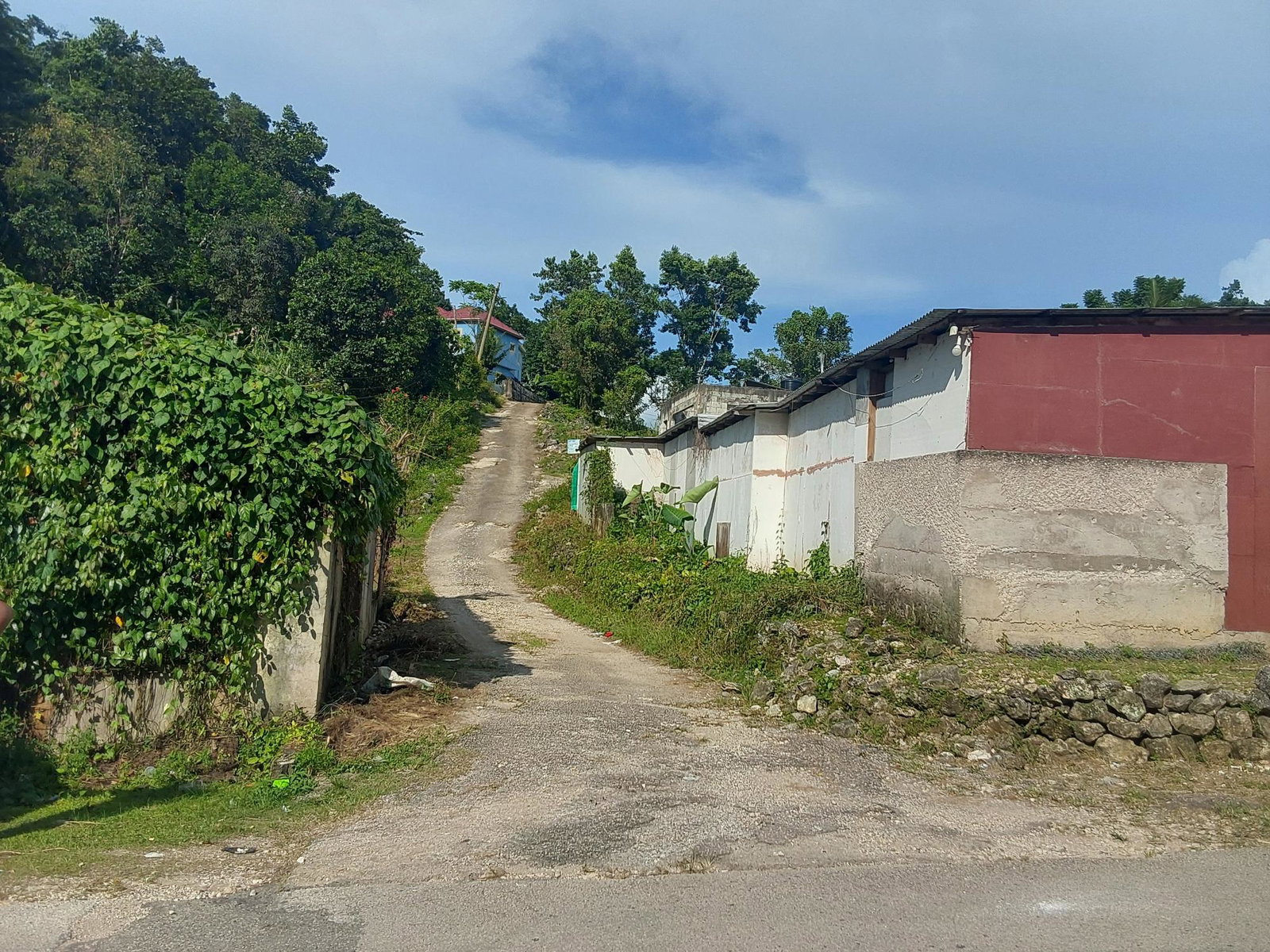 First image of Cruize New Market P.o. in Cruise, Westmoreland, Jamaica - property is For Sale
