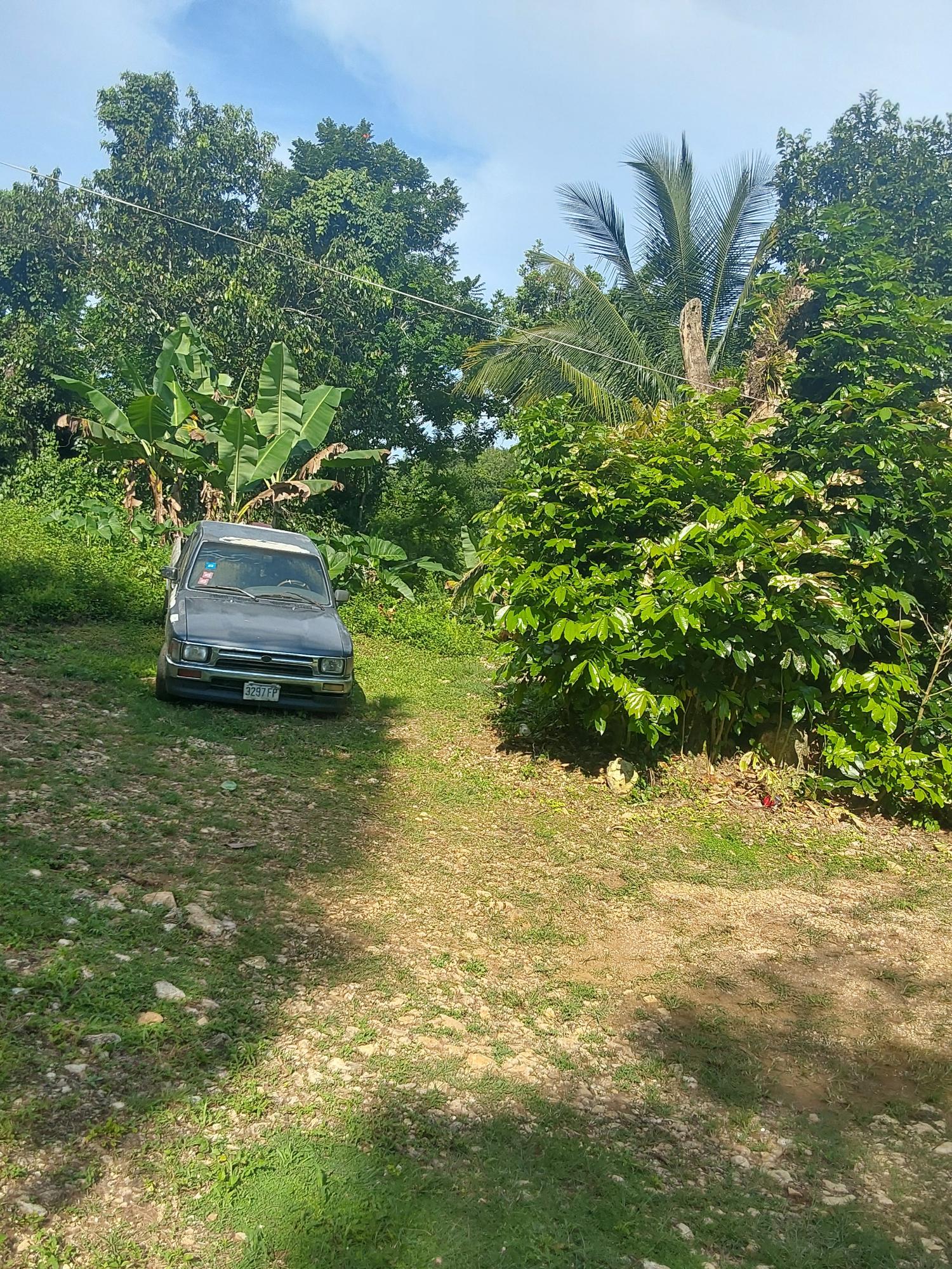 Second image of Cruize New Market P.o. in Cruise, Westmoreland, Jamaica - property is For Sale