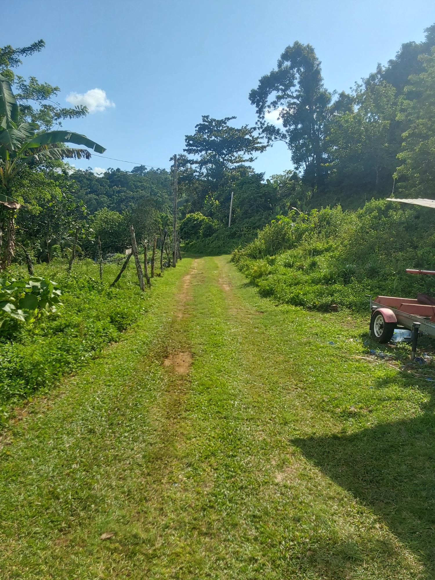 Third image of Cruize New Market P.o. in Cruise, Westmoreland, Jamaica - property is For Sale