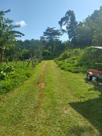 Third image of Cruize New Market P.o. in Cruise, Westmoreland, Jamaica - property is For Sale