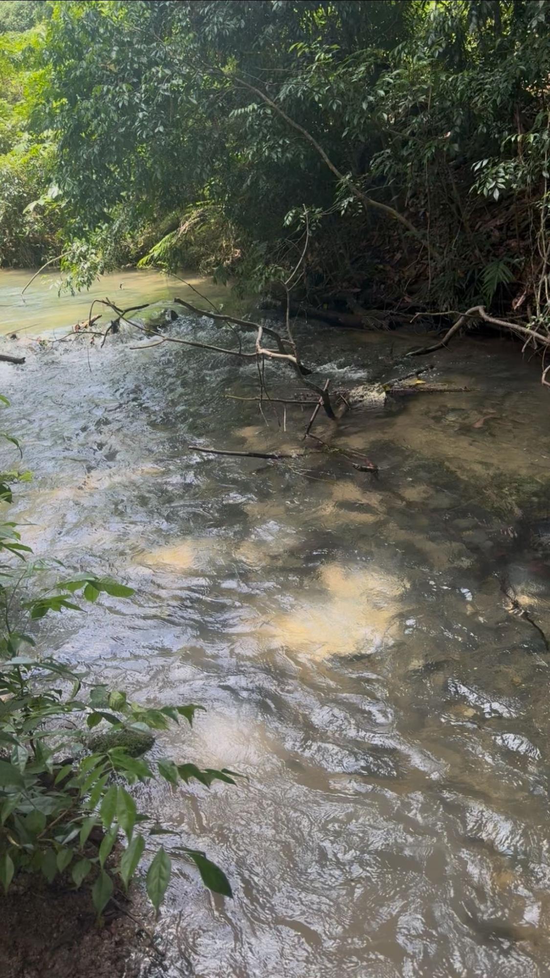 Tenth image of 5 Carawina in Petersfield, Westmoreland, Jamaica - property is For Sale