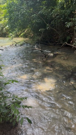 Tenth image of 5 Carawina in Petersfield, Westmoreland, Jamaica - property is For Sale