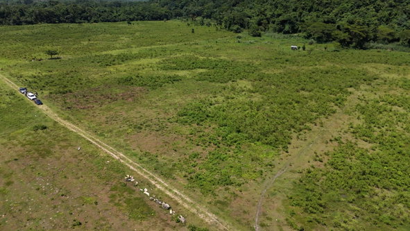 Second image of 5 Carawina in Petersfield, Westmoreland, Jamaica - property is For Sale