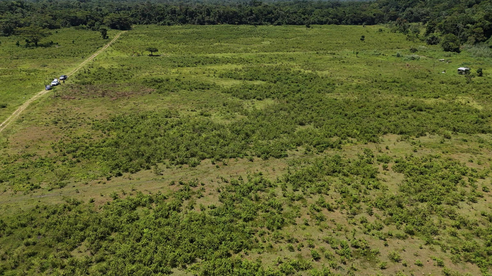 Fifth image of 5 Carawina in Petersfield, Westmoreland, Jamaica - property is For Sale