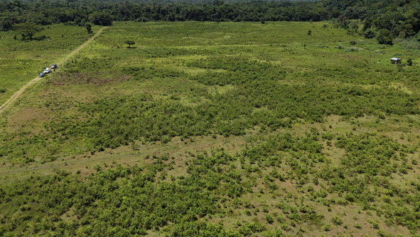 Fifth image of 5 Carawina in Petersfield, Westmoreland, Jamaica - property is For Sale