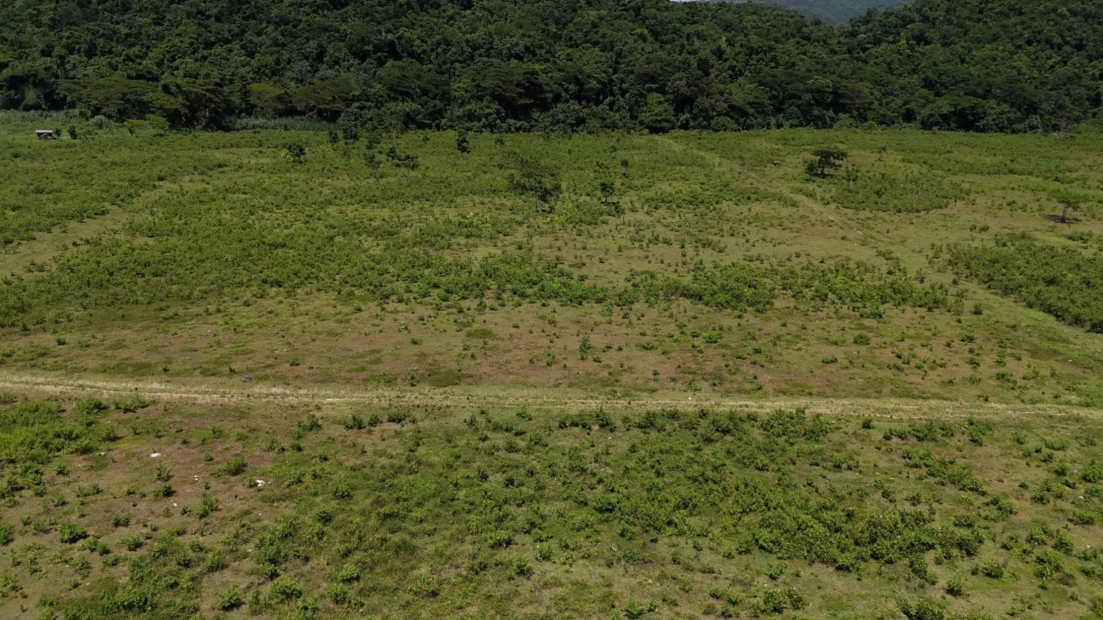 Seventh image of 5 Carawina in Petersfield, Westmoreland, Jamaica - property is For Sale