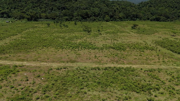 Seventh image of 5 Carawina in Petersfield, Westmoreland, Jamaica - property is For Sale
