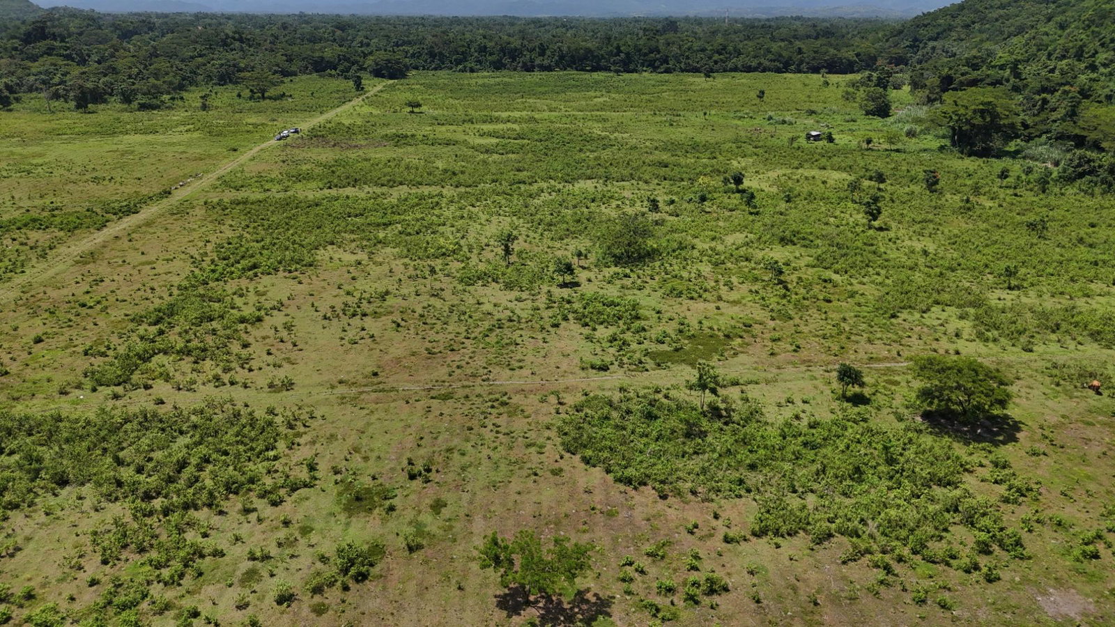 Eighth image of 5 Carawina in Petersfield, Westmoreland, Jamaica - property is For Sale