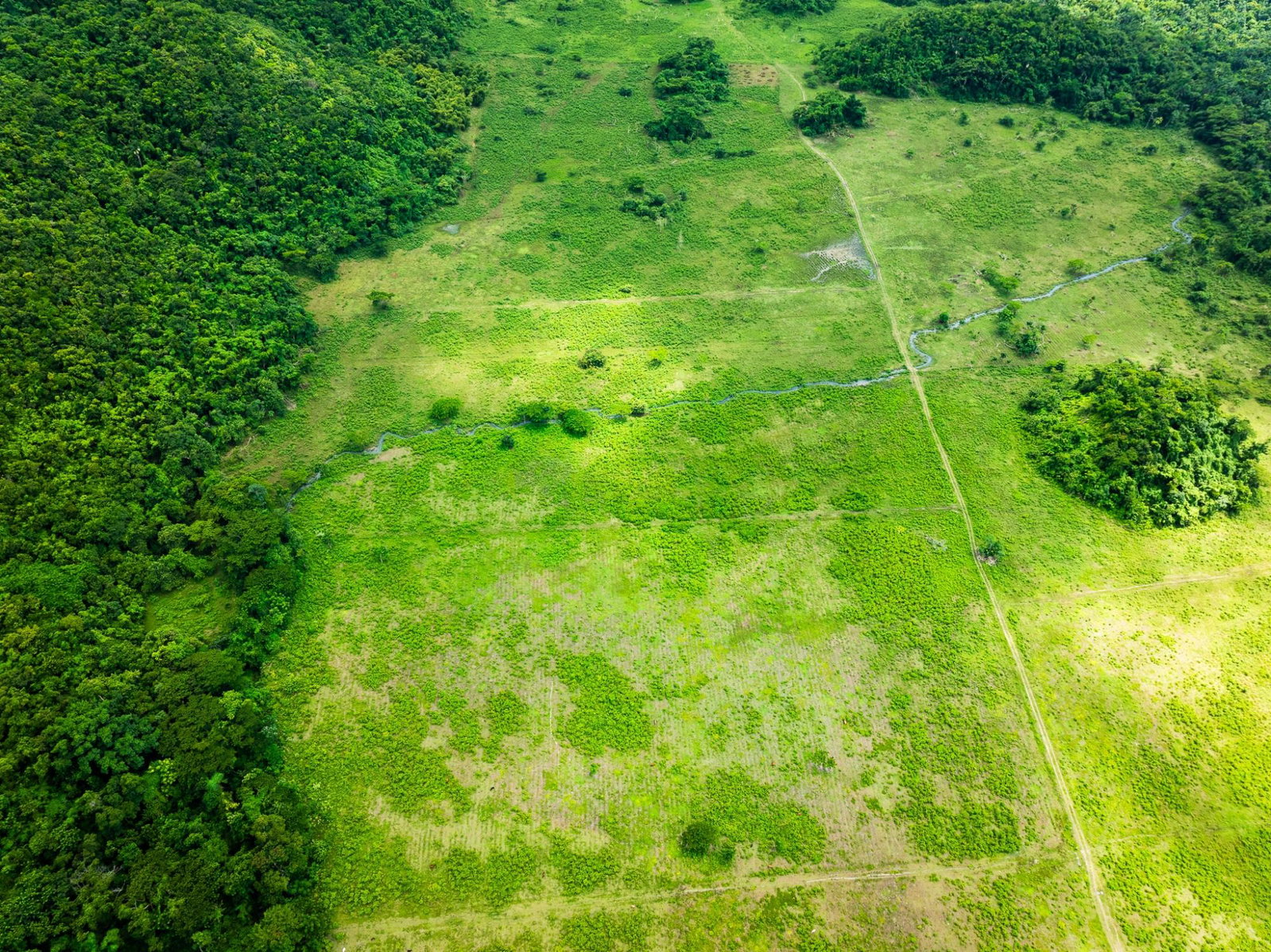 Second image of 29 Carawina in Petersfield, Westmoreland, Jamaica - property is For Sale