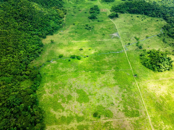 Second image of 29 Carawina in Petersfield, Westmoreland, Jamaica - property is For Sale