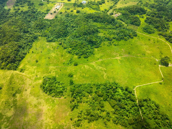 Fifth image of 29 Carawina in Petersfield, Westmoreland, Jamaica - property is For Sale