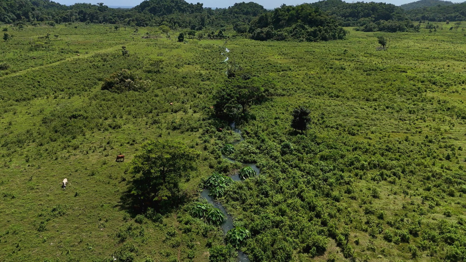 Third image of 51- Carawina in Petersfield, Westmoreland, Jamaica - property is For Sale
