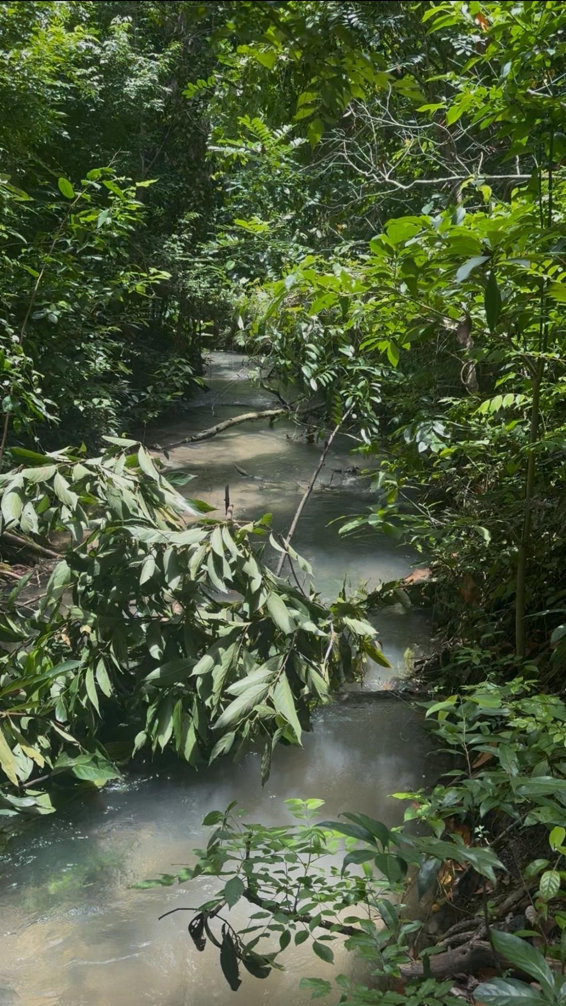 Fifth image of 51- Carawina in Petersfield, Westmoreland, Jamaica - property is For Sale