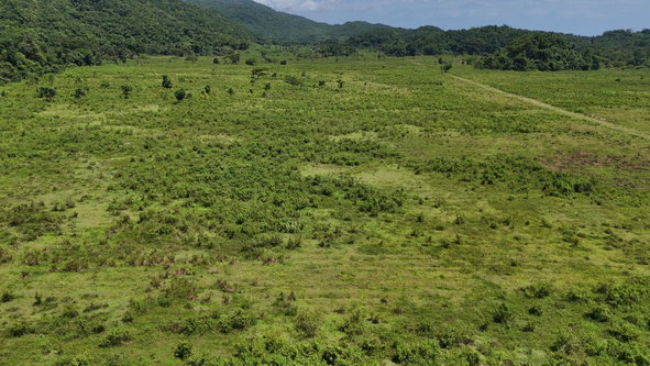 Seventh image of 51- Carawina in Petersfield, Westmoreland, Jamaica - property is For Sale