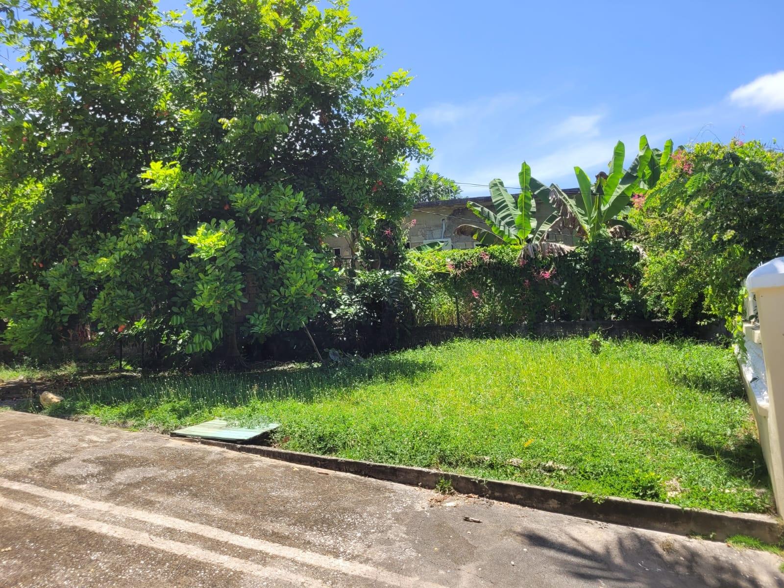Seventh image of Nonpariel Road in Negril, Westmoreland, Jamaica - property is For Sale
