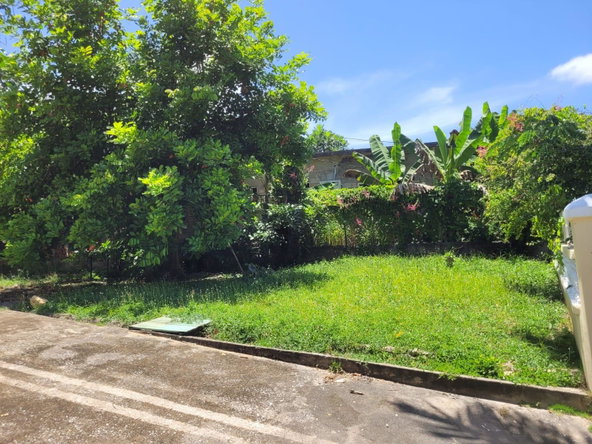 Seventh image of Nonpariel Road in Negril, Westmoreland, Jamaica - property is For Sale