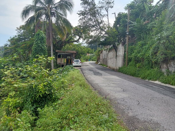 Second image of Barneyside Bethel Town p. in Barneyside, Westmoreland, Jamaica - property is For Sale