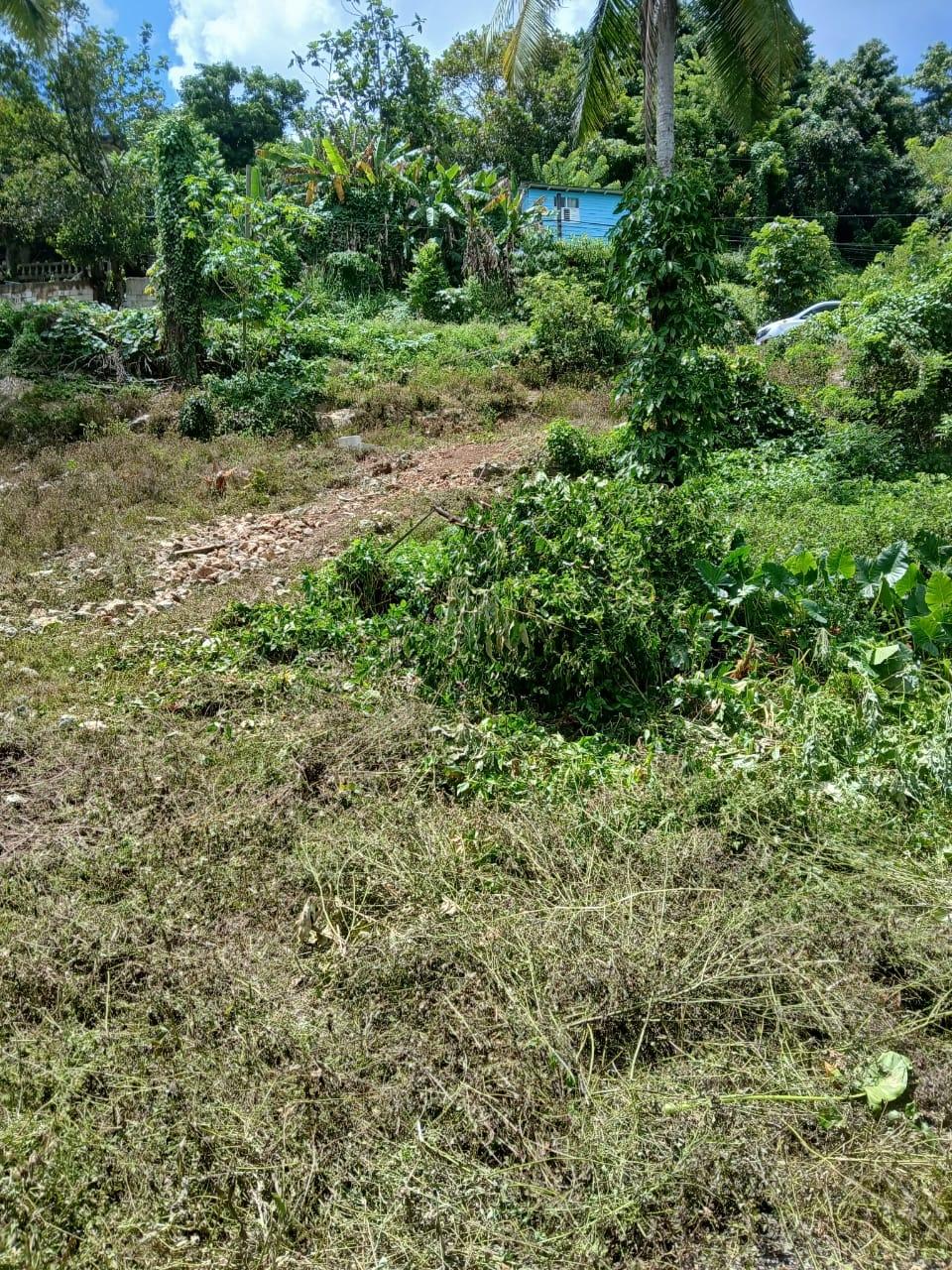 Third image of Barneyside Bethel Town p. in Barneyside, Westmoreland, Jamaica - property is For Sale