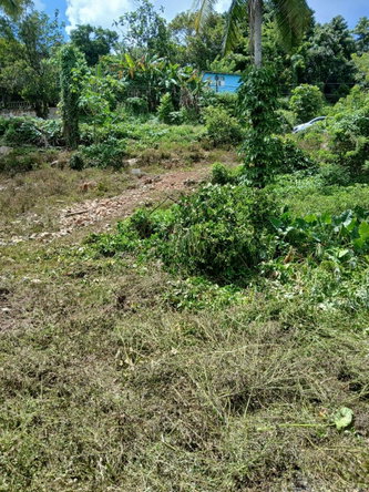 Third image of Barneyside Bethel Town p. in Barneyside, Westmoreland, Jamaica - property is For Sale