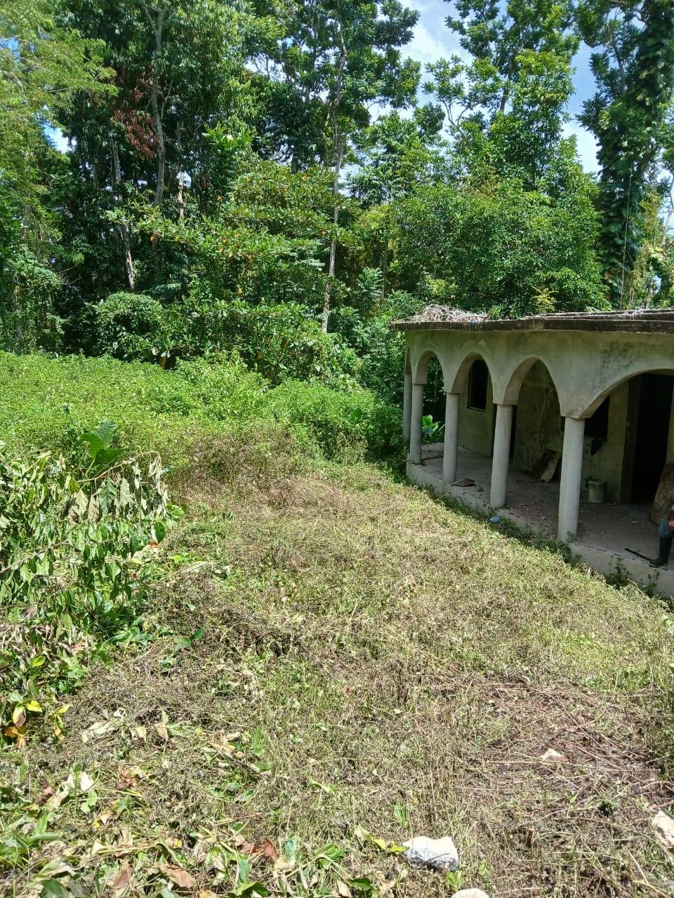 Fourth image of Barneyside Bethel Town p. in Barneyside, Westmoreland, Jamaica - property is For Sale