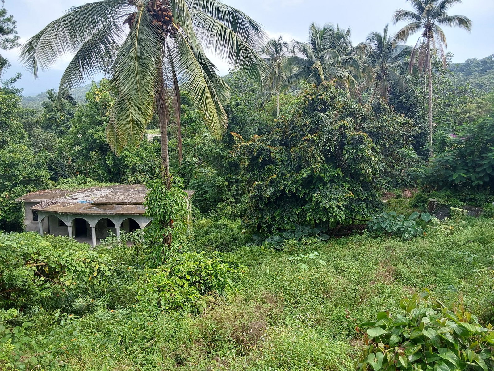 Ninth image of Barneyside Bethel Town p. in Barneyside, Westmoreland, Jamaica - property is For Sale