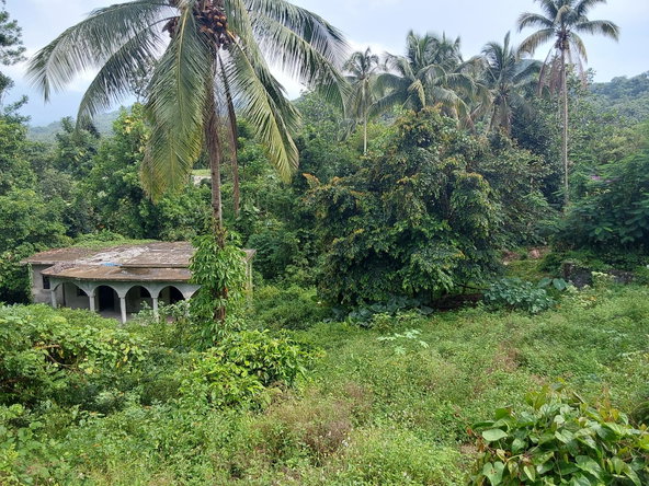 Ninth image of Barneyside Bethel Town p. in Barneyside, Westmoreland, Jamaica - property is For Sale