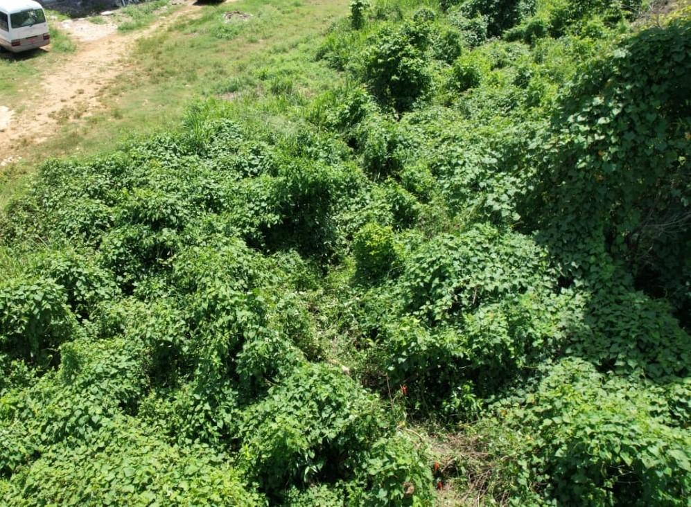 Tenth image of 45 Westland in Negril, Westmoreland, Jamaica - property is For Sale