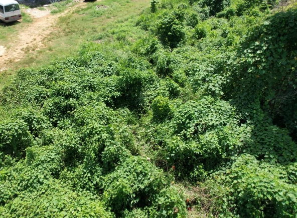 Tenth image of 45 Westland in Negril, Westmoreland, Jamaica - property is For Sale