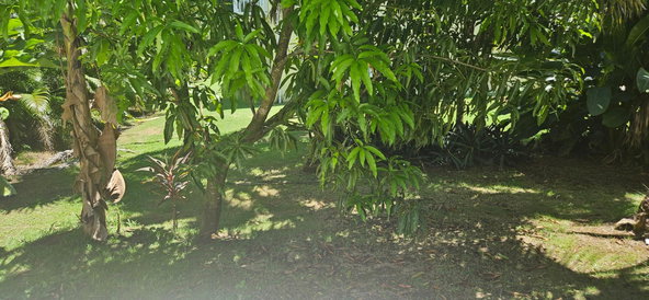Twenty-Third image of 32- Little Bay Country Club in Negril, Westmoreland, Jamaica - property is For Sale