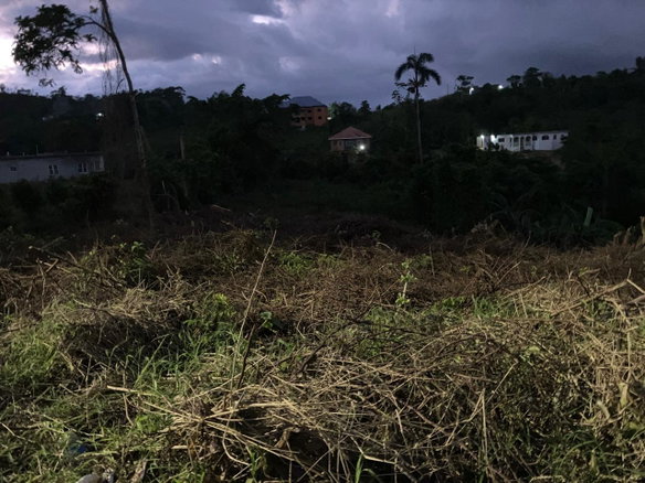 First image of George Reid Dist in Mandeville, Manchester, Jamaica - property is For Sale