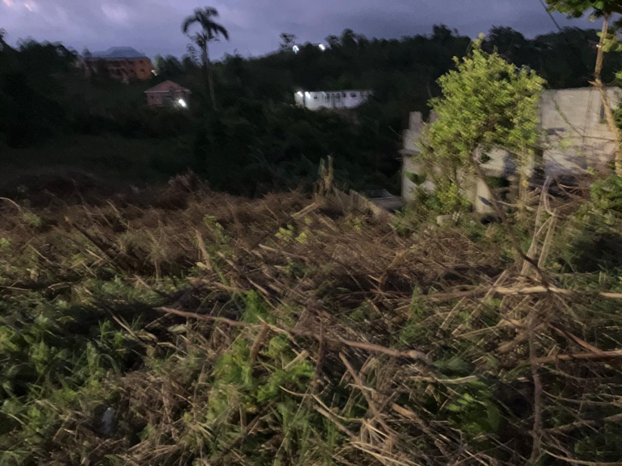 Second image of George Reid Dist in Mandeville, Manchester, Jamaica - property is For Sale