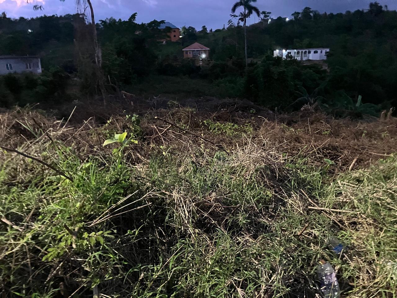 Third image of George Reid Dist in Mandeville, Manchester, Jamaica - property is For Sale