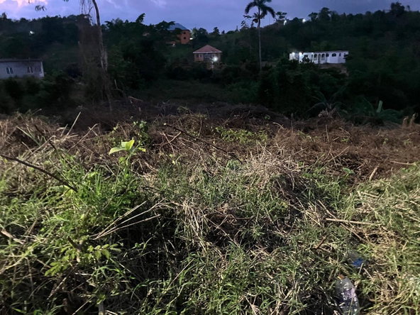 Third image of George Reid Dist in Mandeville, Manchester, Jamaica - property is For Sale