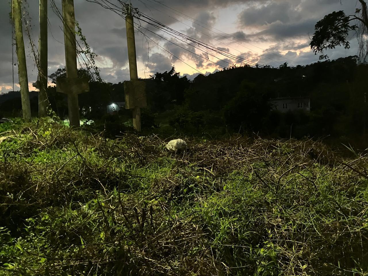 Fourth image of George Reid Dist in Mandeville, Manchester, Jamaica - property is For Sale