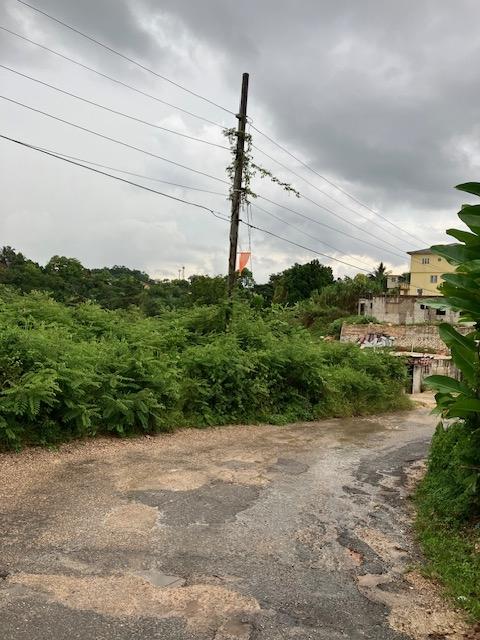 Seventh image of George Reid Dist in Mandeville, Manchester, Jamaica - property is For Sale