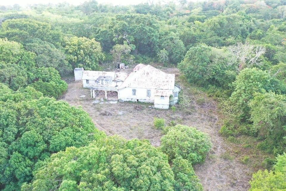 Third image of Whitehall Duncans P.o, tr in Duncans, Trelawny, Jamaica - property is For Sale