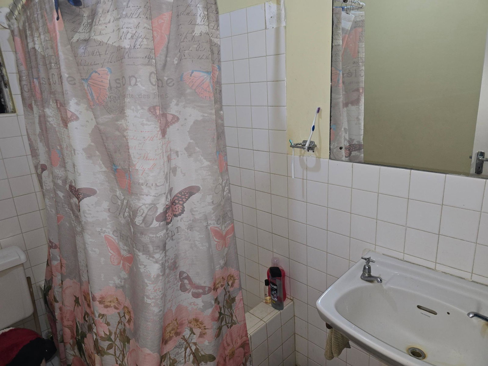Twenty-First image of Hague, Falmouth in Falmouth, Trelawny, Jamaica - property is For Sale