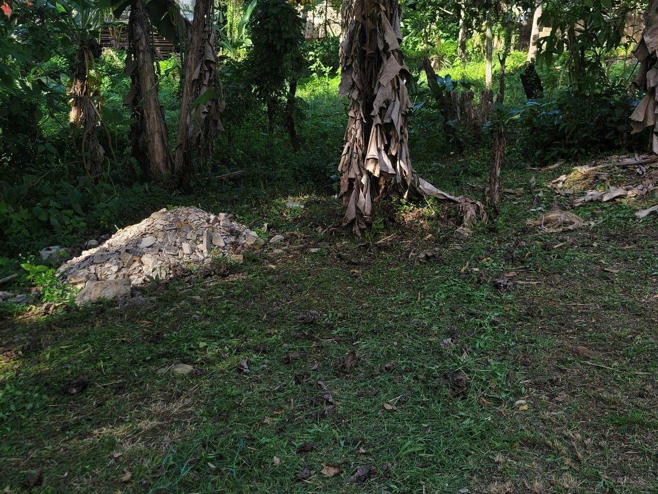 Nineteenth image of Clarks Town in Clarks Town, Trelawny, Jamaica - property is For Sale