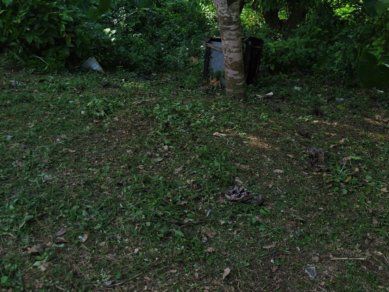 Twentieth image of Clarks Town in Clarks Town, Trelawny, Jamaica - property is For Sale