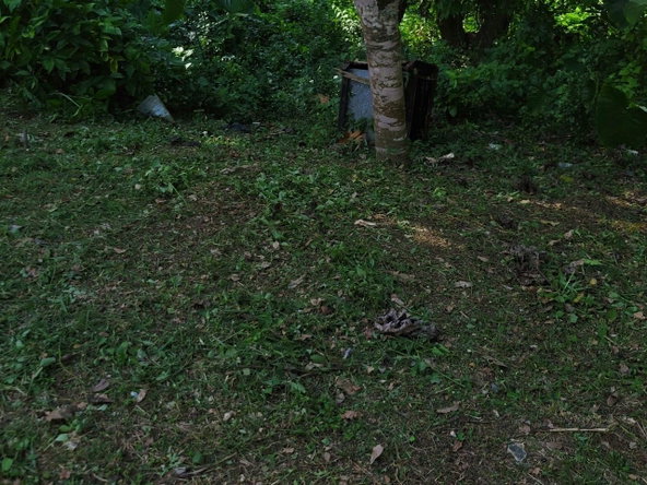 Twentieth image of Clarks Town in Clarks Town, Trelawny, Jamaica - property is For Sale
