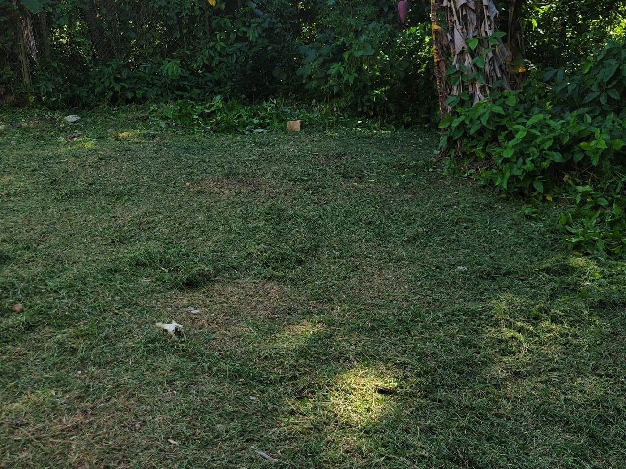 Twenty-First image of Clarks Town in Clarks Town, Trelawny, Jamaica - property is For Sale