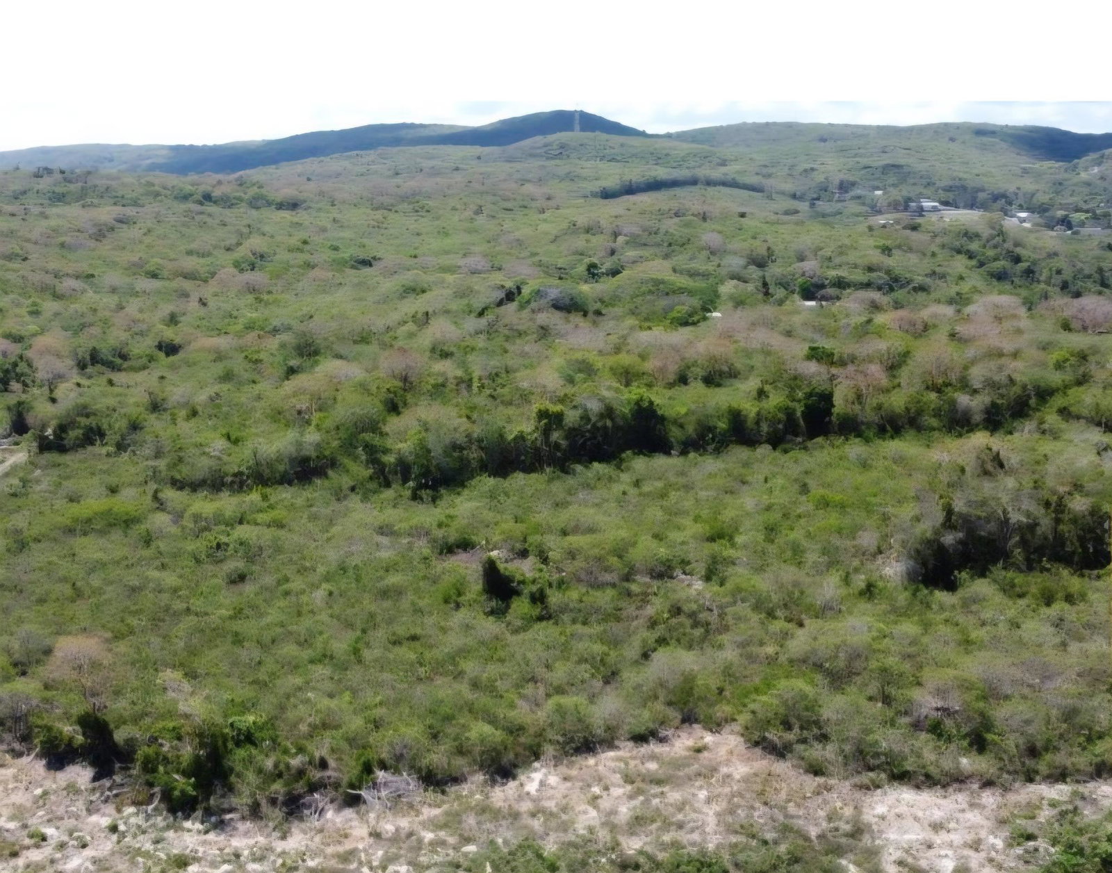 First image of Bryan Castle Estate in Bryan Castle, Trelawny, Jamaica - property is For Sale