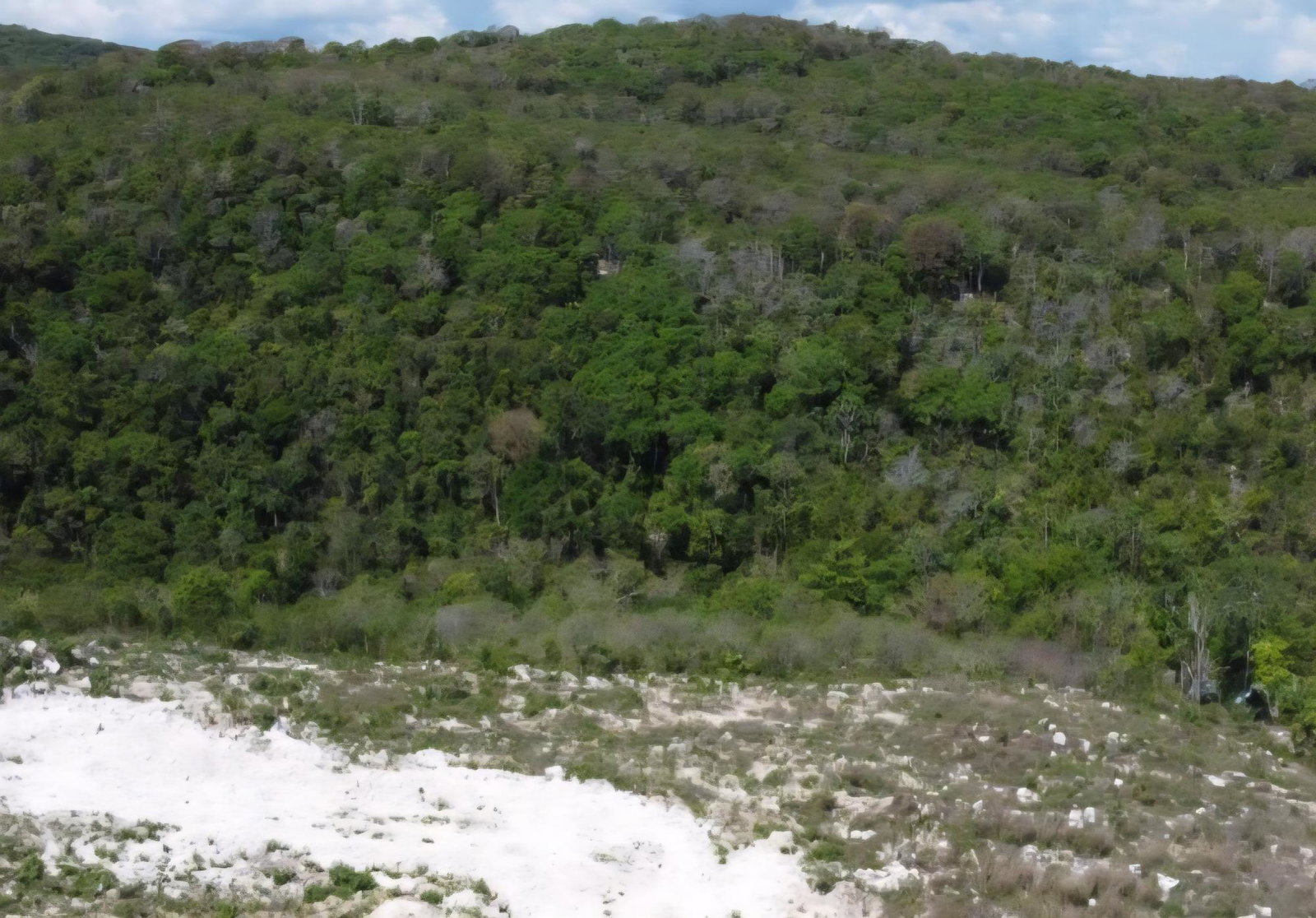 Second image of Bryan Castle Estate in Bryan Castle, Trelawny, Jamaica - property is For Sale