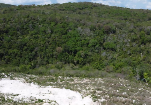 Second image of Bryan Castle Estate in Bryan Castle, Trelawny, Jamaica - property is For Sale