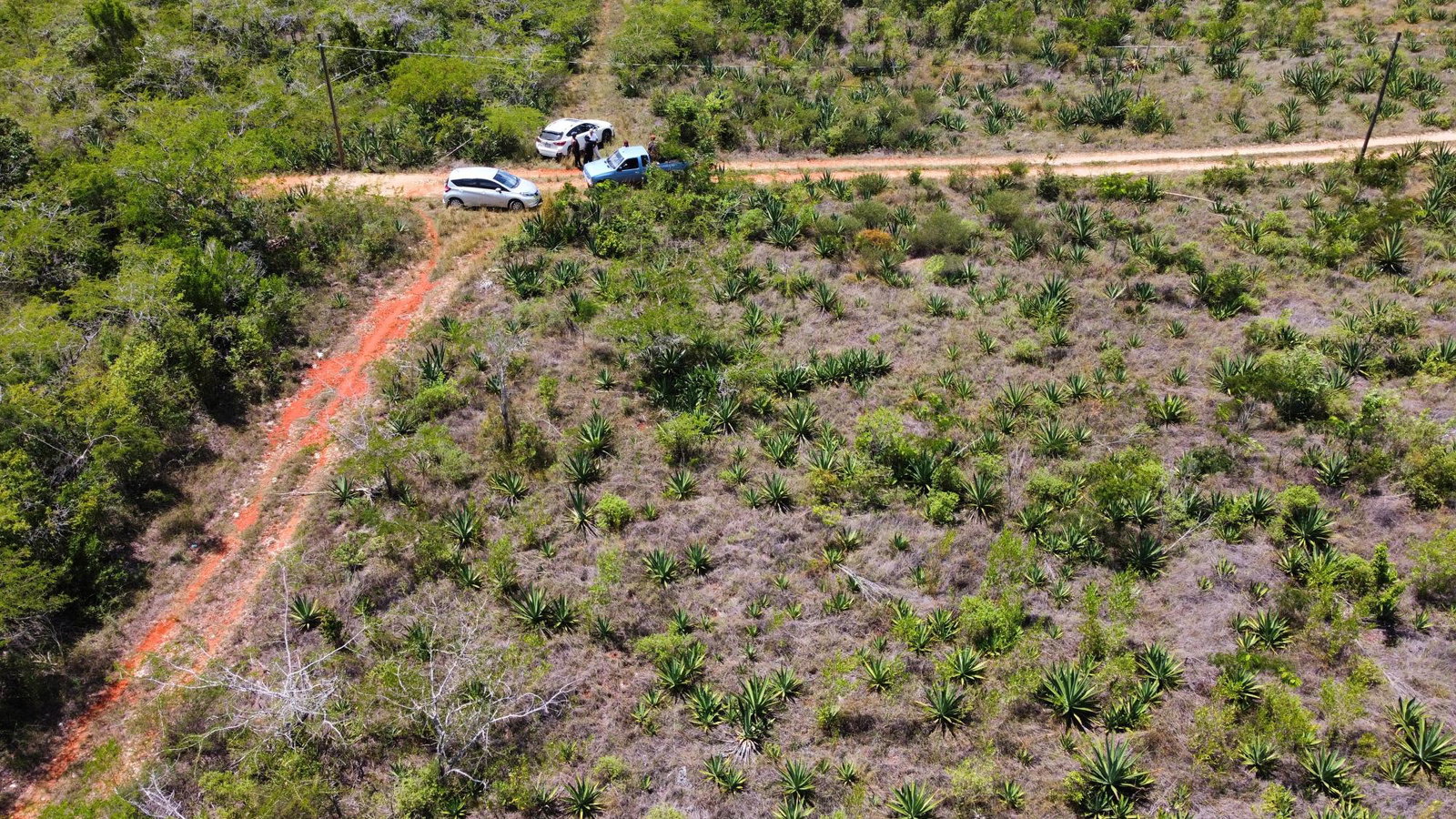 Second image of Lititz Land Settlement in LITITZ, Manchester, Jamaica - property is For Sale